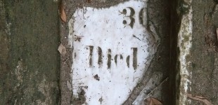 Hill Park