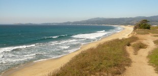 Half Moon Bay Half: road race for trail runners